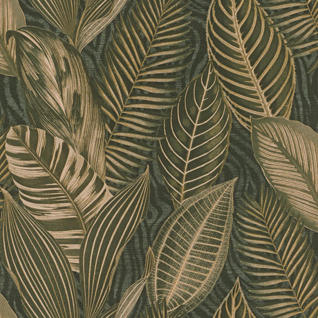 A-Street Prints Springhill Acacius Dark Green Wallpaper