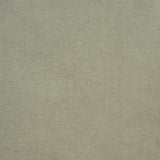 Schumacher Rocky Performance Velvet Fern Fabric
