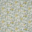 Borastapeter Citrontrd Ivory And Leaf Fabric