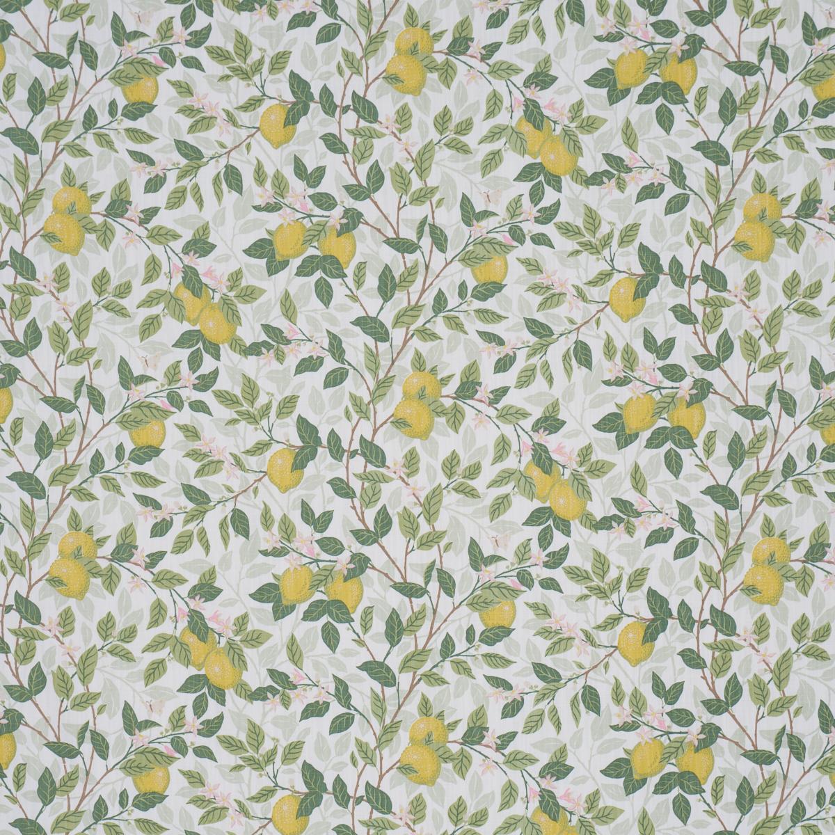 Borastapeter Citrontrd Ivory And Leaf Fabric