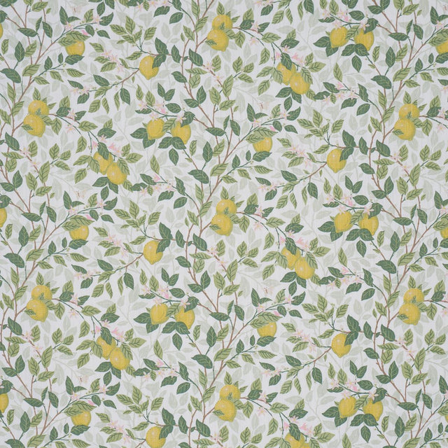 Borastapeter Citrontrd Ivory And Leaf Fabric