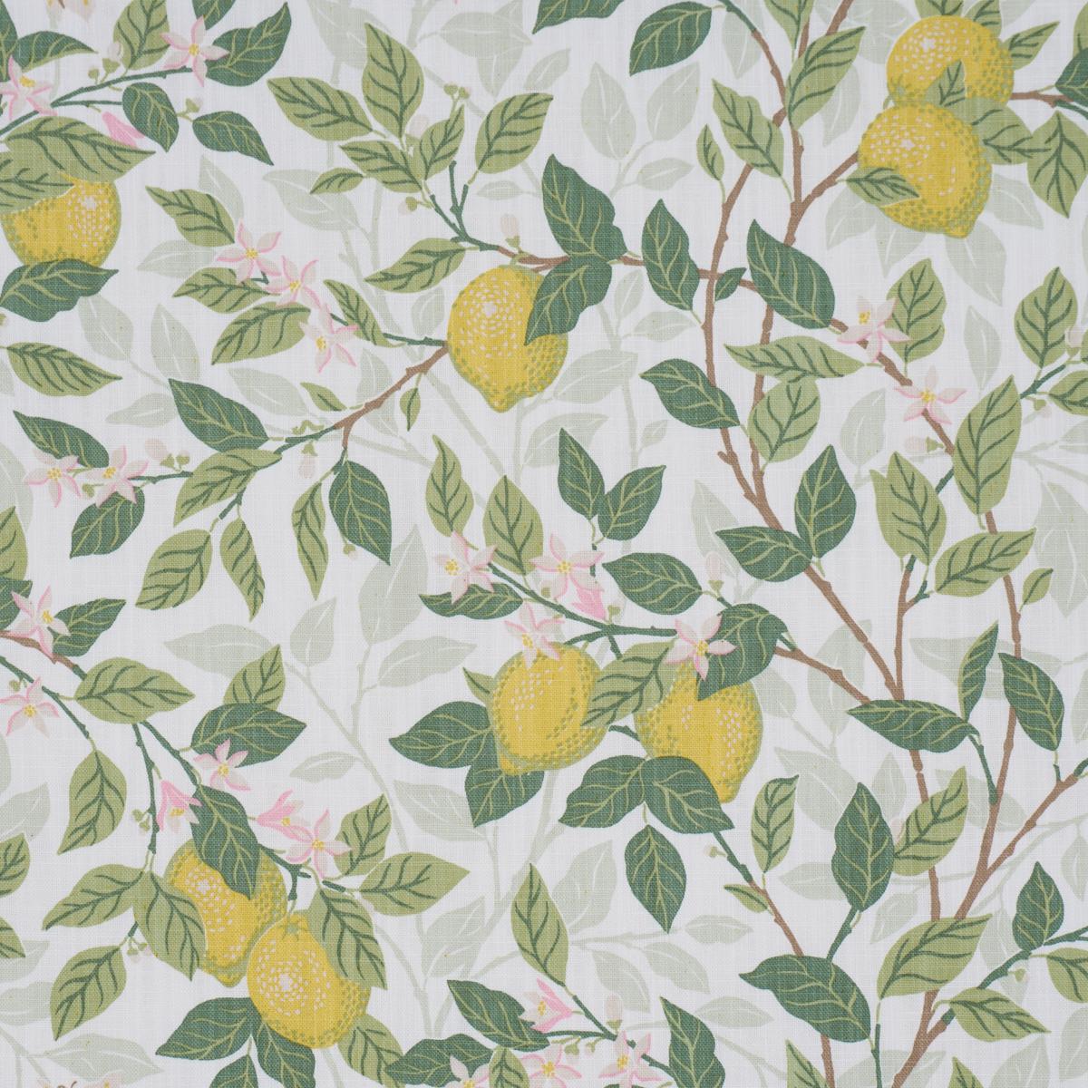 Borastapeter Citrontrd Ivory And Leaf Fabric