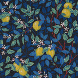 Borastapeter Citrontrd Spruce And Blue Fabric