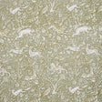 Schumacher Khan'S Park Sage Fabric
