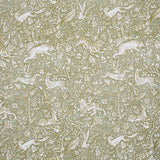 Schumacher Khan'S Park Sage Fabric
