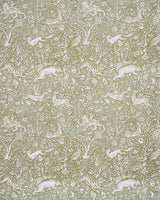 Schumacher Khan'S Park Sage Fabric