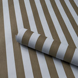 Schumacher Edwin Stripe Medium Brown & Sky Wallpaper