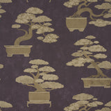 Schumacher Bonsai Tree Aubergine Wallpaper