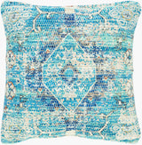 Surya Devonshire DVS-004 18"L x 18"W Pillow