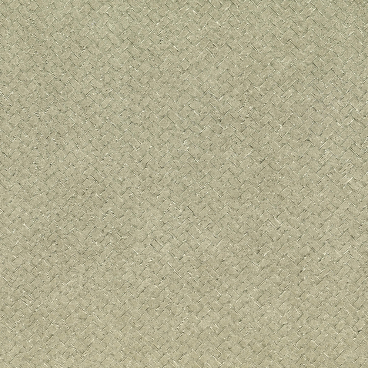 Lizzo CESTO 03 Wallpaper
