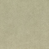 Lizzo CESTO 03 Wallpaper