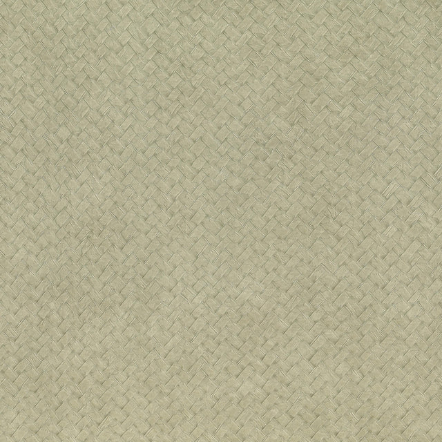 Lizzo CESTO 03 Wallpaper