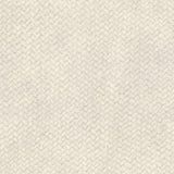 Lizzo CESTO 16 Wallpaper