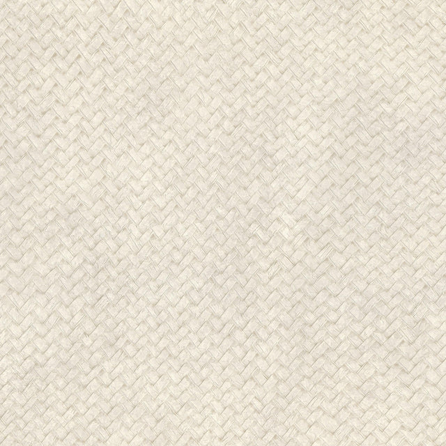 Lizzo CESTO 16 Wallpaper