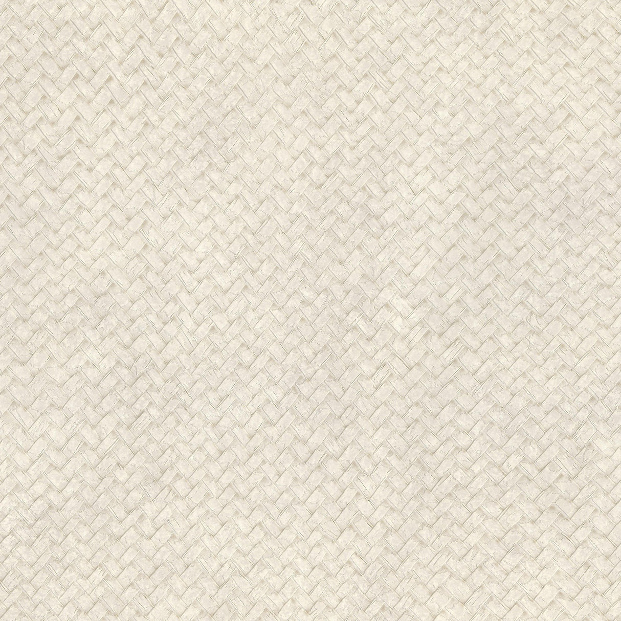 Lizzo CESTO 16 Wallpaper