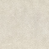 Lizzo CESTO 29 Wallpaper