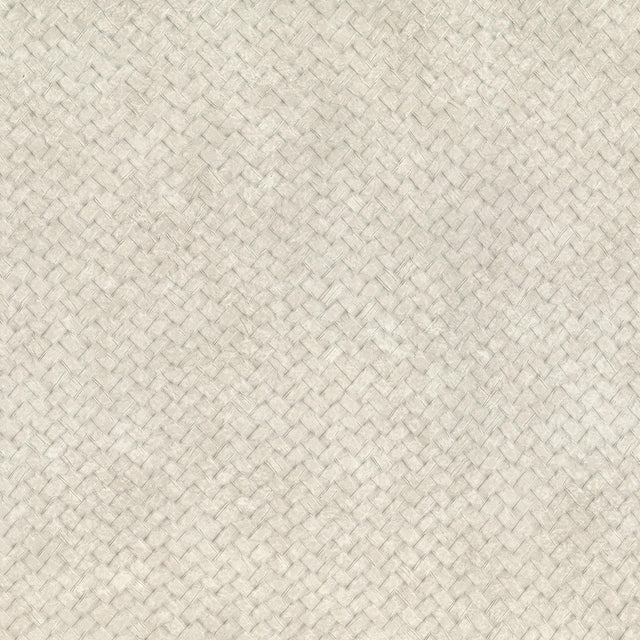 Lizzo CESTO 29 Wallpaper