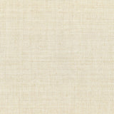 Lizzo ARAZZO 06 Wallpaper