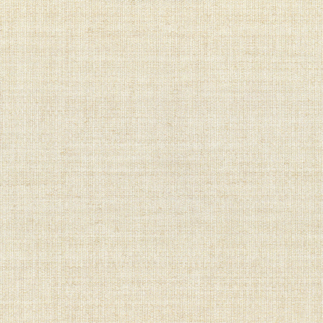 Lizzo ARAZZO 06 Wallpaper