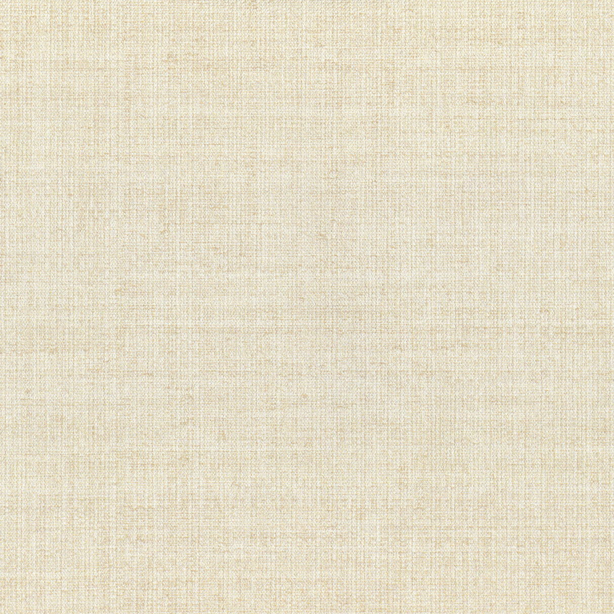 Lizzo ARAZZO 06 Wallpaper