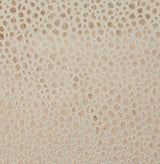 Pindler MAGDALENA DUNE Fabric