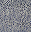 Pindler MAGDALENA INDIGO Fabric