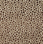 Pindler MAGDALENA COCOA Fabric