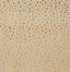 Pindler MAGDALENA HONEY Fabric