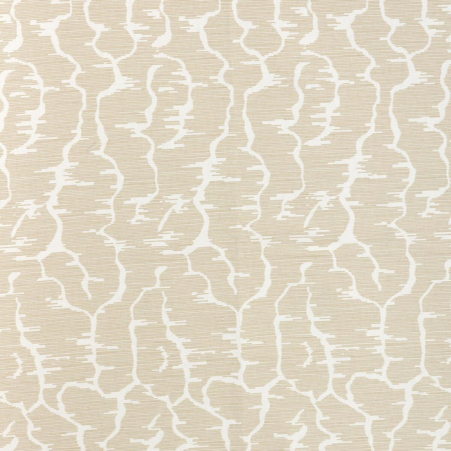 Brunschwig & Fils LEVES BEIGE Fabric