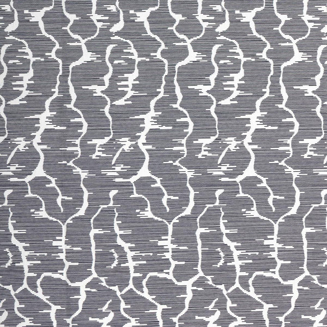Brunschwig & Fils LEVES NOIR Fabric