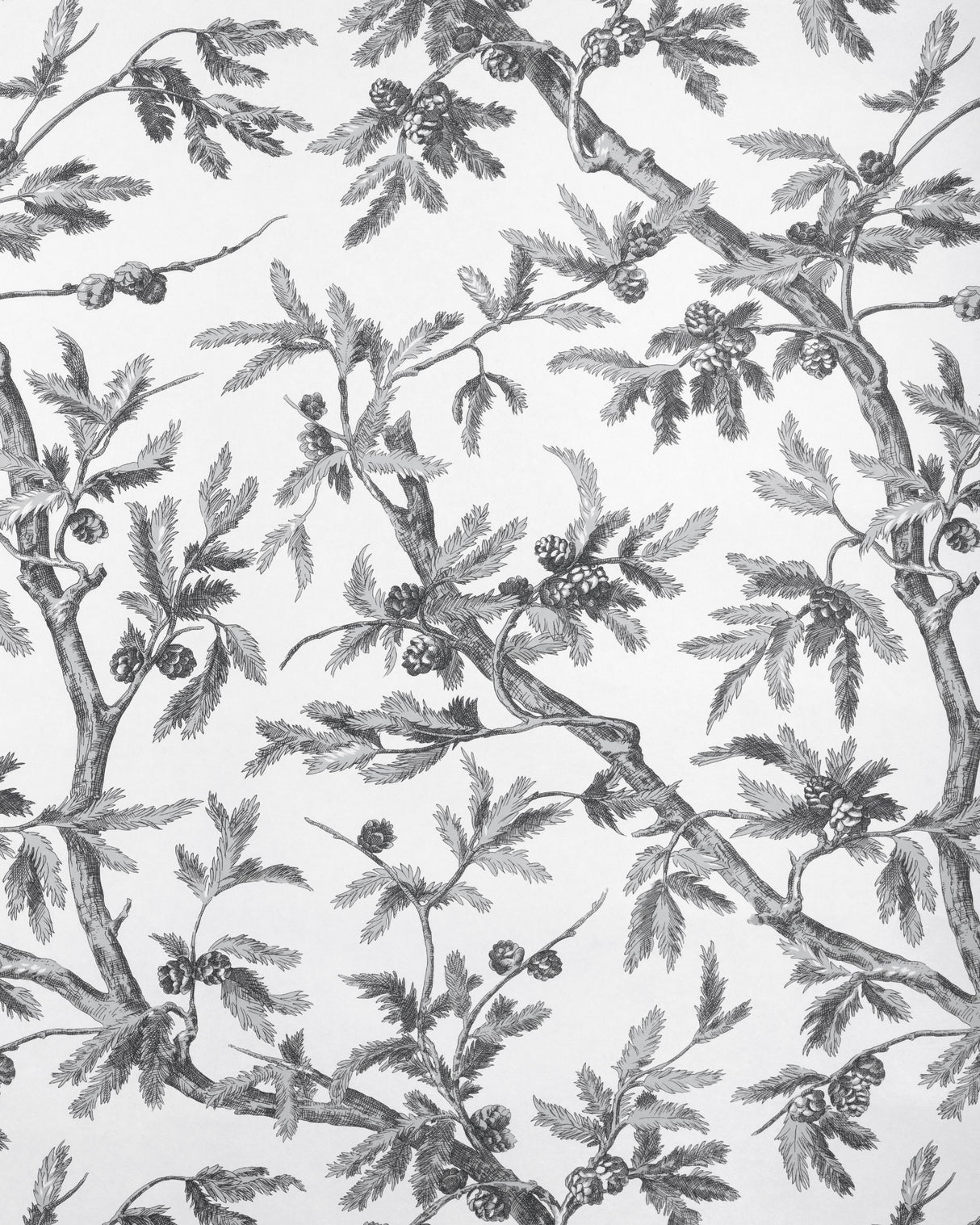 Brunschwig & Fils BRANCHES DE PIN WC GREY Wallpaper
