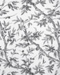 Brunschwig & Fils BRANCHES DE PIN WC GREY Wallpaper