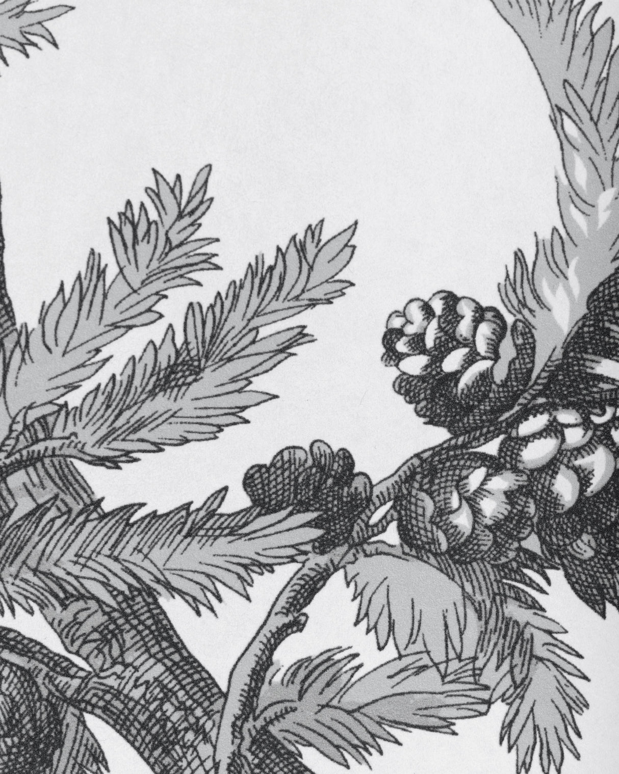 Brunschwig & Fils BRANCHES DE PIN WC GREY Wallpaper