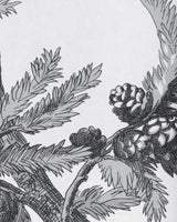 Brunschwig & Fils BRANCHES DE PIN WC GREY Wallpaper
