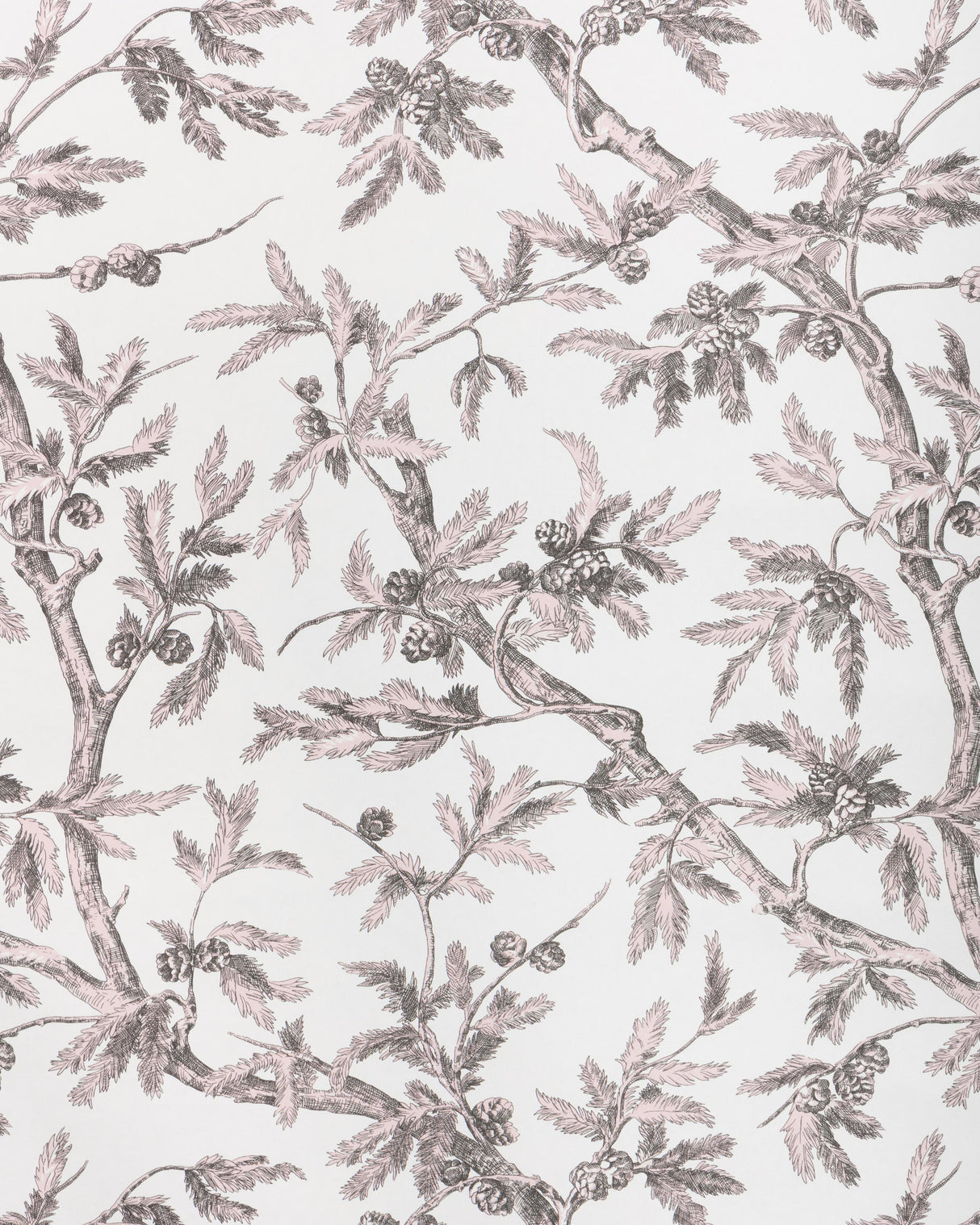 Brunschwig & Fils BRANCHES DE PIN WC PINK Wallpaper