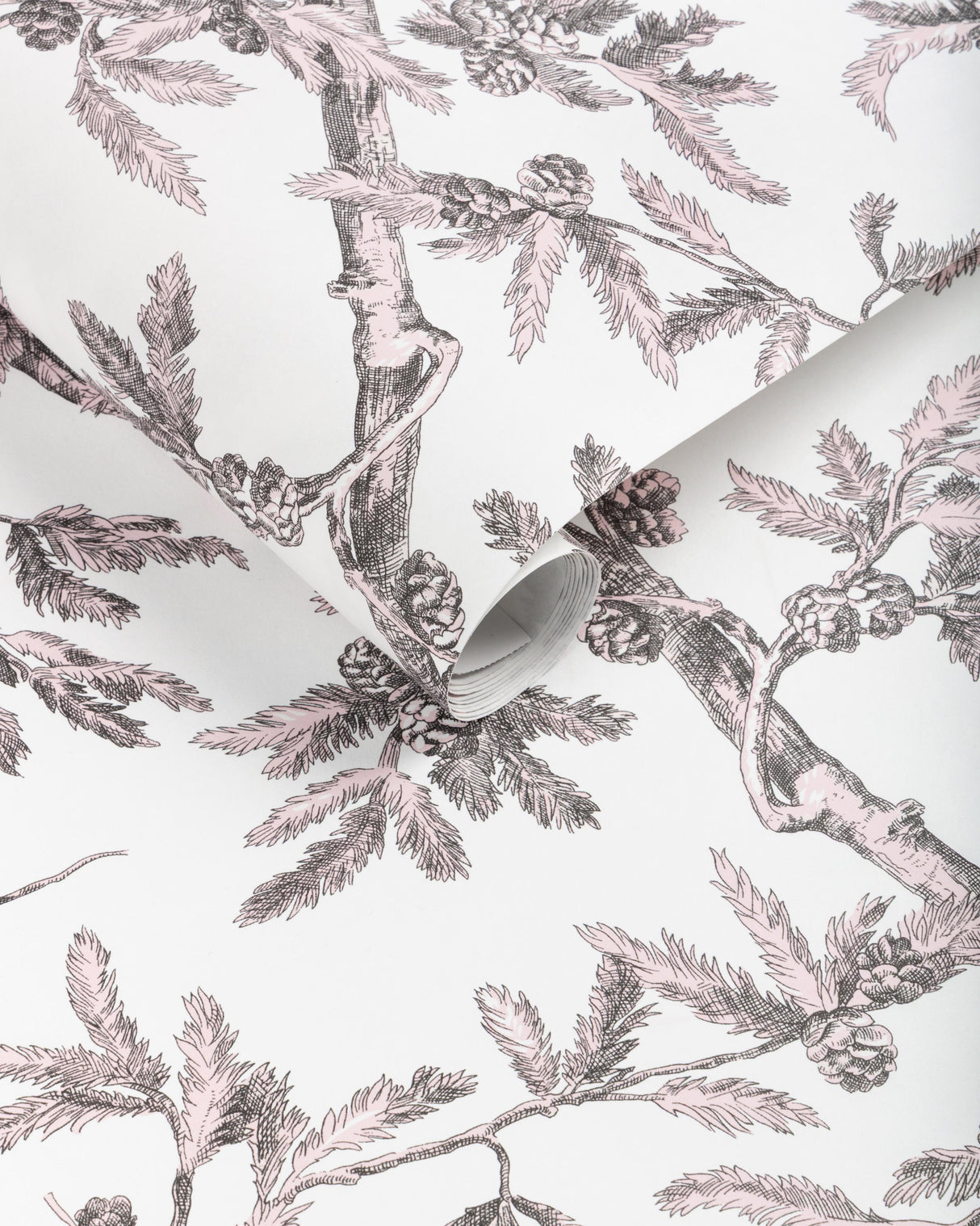 Brunschwig & Fils BRANCHES DE PIN WC PINK Wallpaper