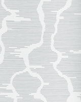 Brunschwig & Fils LEVES WC GREY Wallpaper