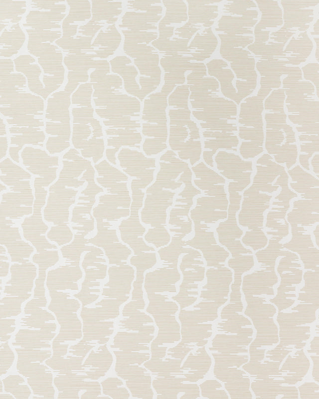Brunschwig & Fils LEVES WC BEIGE Wallpaper