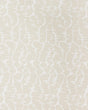 Brunschwig & Fils LEVES WC BEIGE Wallpaper