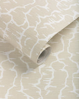 Brunschwig & Fils LEVES WC BEIGE Wallpaper