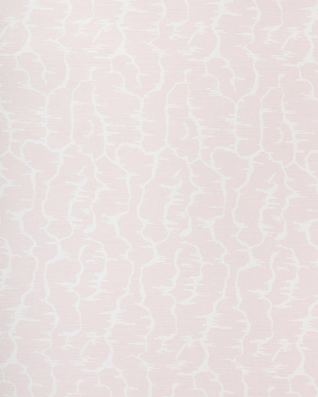 Brunschwig & Fils LEVES WC PINK Wallpaper