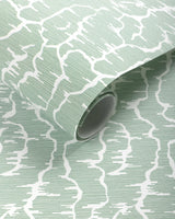 Brunschwig & Fils LEVES WC GREEN Wallpaper