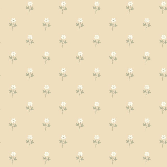 Schumacher Anemone By Boråstapeter Wheat Wallpaper