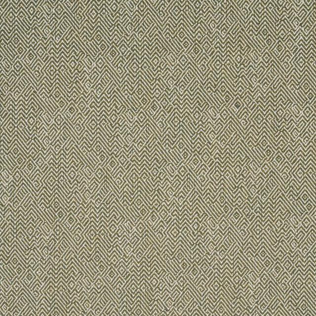 Schumacher Leona Performance Green Fabric