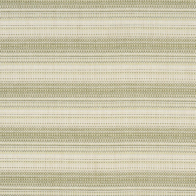 Schumacher Sabine Performance Stripe Green Fabric