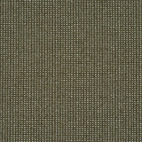Schumacher Jasper Performance Chenille Green Fabric