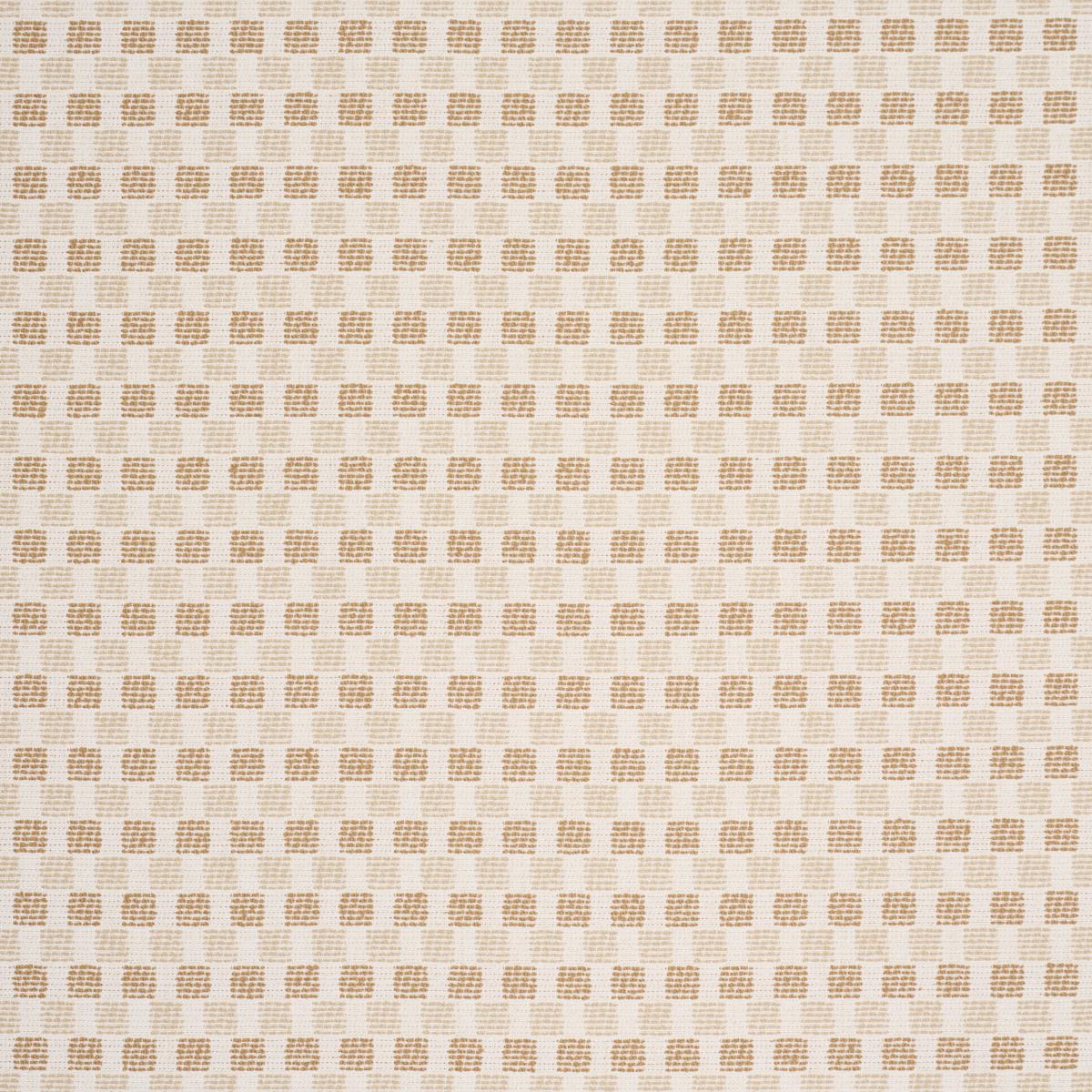 Schumacher Elara Performance Straw Fabric