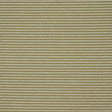Schumacher Austen Performance Stripe Leaf Fabric