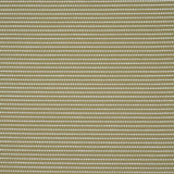 Schumacher Austen Performance Stripe Leaf Fabric