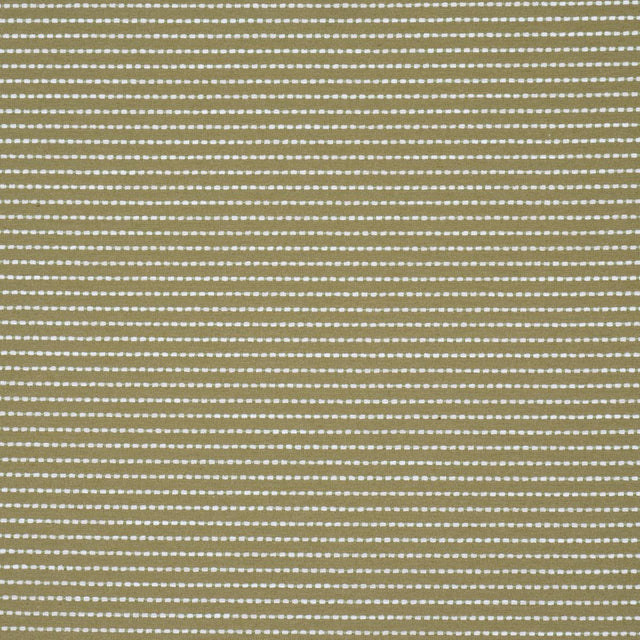 Schumacher Austen Performance Stripe Leaf Fabric